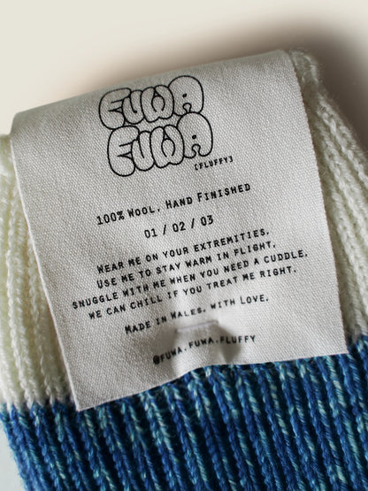 Blue House Socks